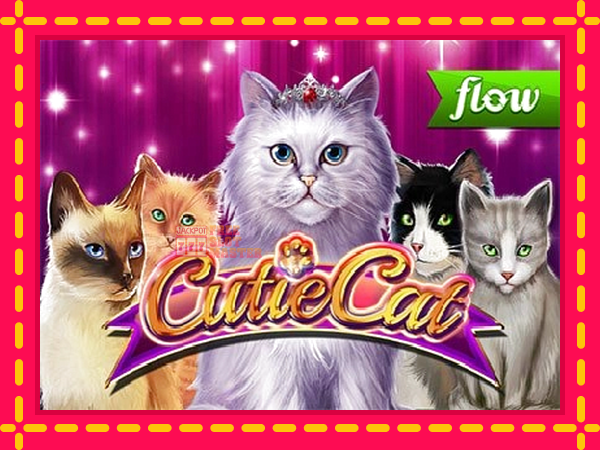 Juca Cutie Cat cu o interfață convenabilă