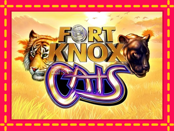 Juca Fort Knox Cats cu o interfață convenabilă