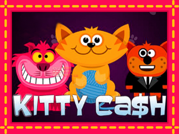 Juca Kitty Cash cu o interfață convenabilă