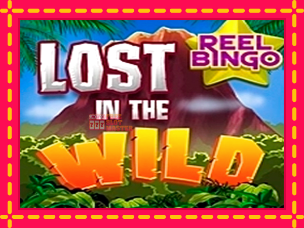 Juca Lost in the Wild with Reel Bingo cu o interfață convenabilă